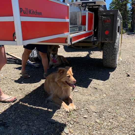 PullKitchen M1101 trailer dog slide out camp kitchen
